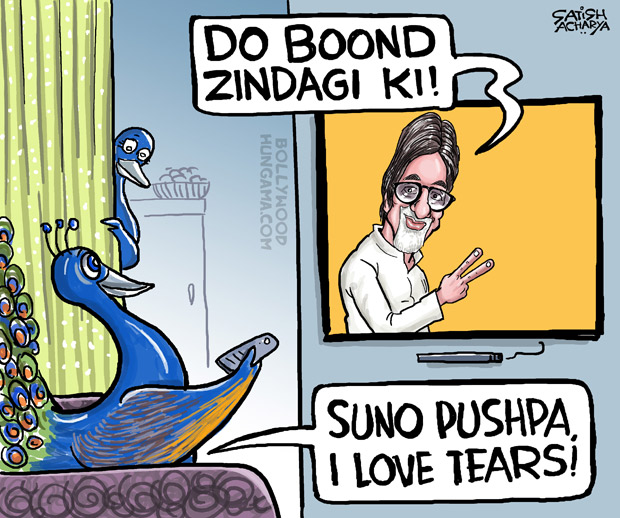 bachchan wala cartoon