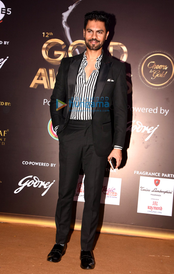 Photos: Celebs grace the 12th Gold Awards 2019 | Aarti ...