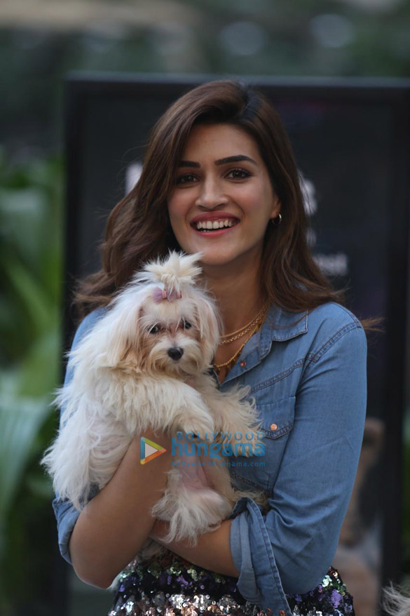 Photos: Kriti Sanon at the launch of IAMS pet food brand
