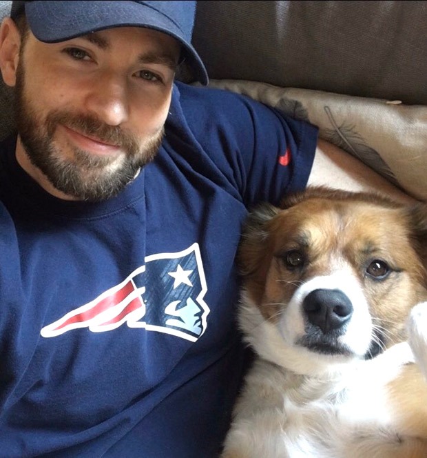 Chris Evans fails at grooming his dog Dodger, says it went so wrong, so fast thumbnail
