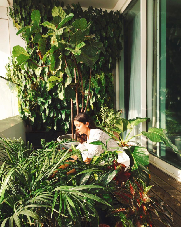 Anushka Sharma spends her Saturday morning with plants in her balcony garden