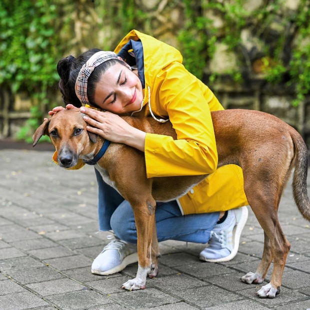  “Sometimes all you need is love,” writes Prachi Desai sharing pictures of strays from her building