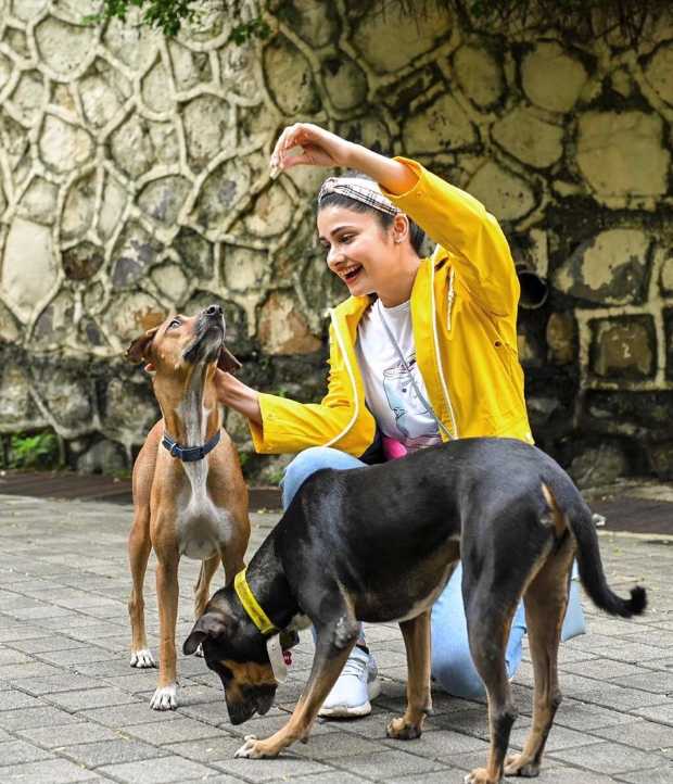  “Sometimes all you need is love,” writes Prachi Desai sharing pictures of strays from her building