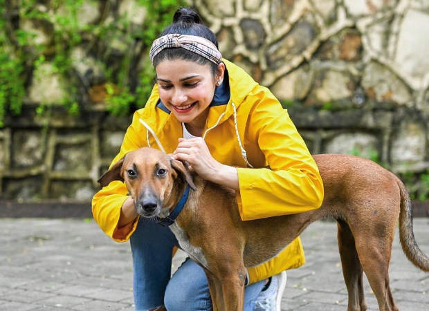  “Sometimes all you need is love,” writes Prachi Desai sharing pictures of strays from her building