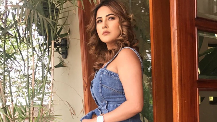 Why Shenaaz Gill NEVER gives a befitting reply to HATERS? She finally REVEALS | Fan Questions