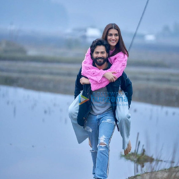 Bhediya Movie Stills Bollywood Hungama