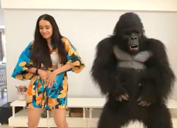 Shraddha Kapoor shakes a leg with ToTo the Gorilla from Hello Charlie; watch 