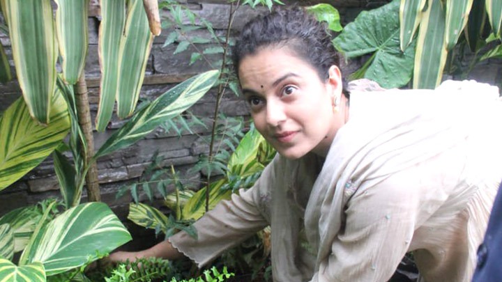 Kangana Ranaut plants tree outside her office in Bandra