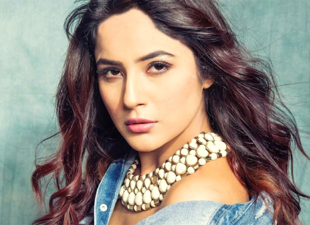Shehnaaz Gill on losing weight - "Only slim and fit girls can survive in the industry"