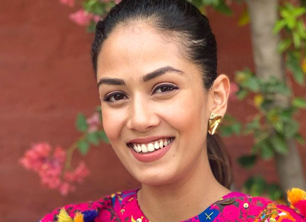 Mira Rajput enjoys vacation in New York, gives a peek into her holiday; see pics
